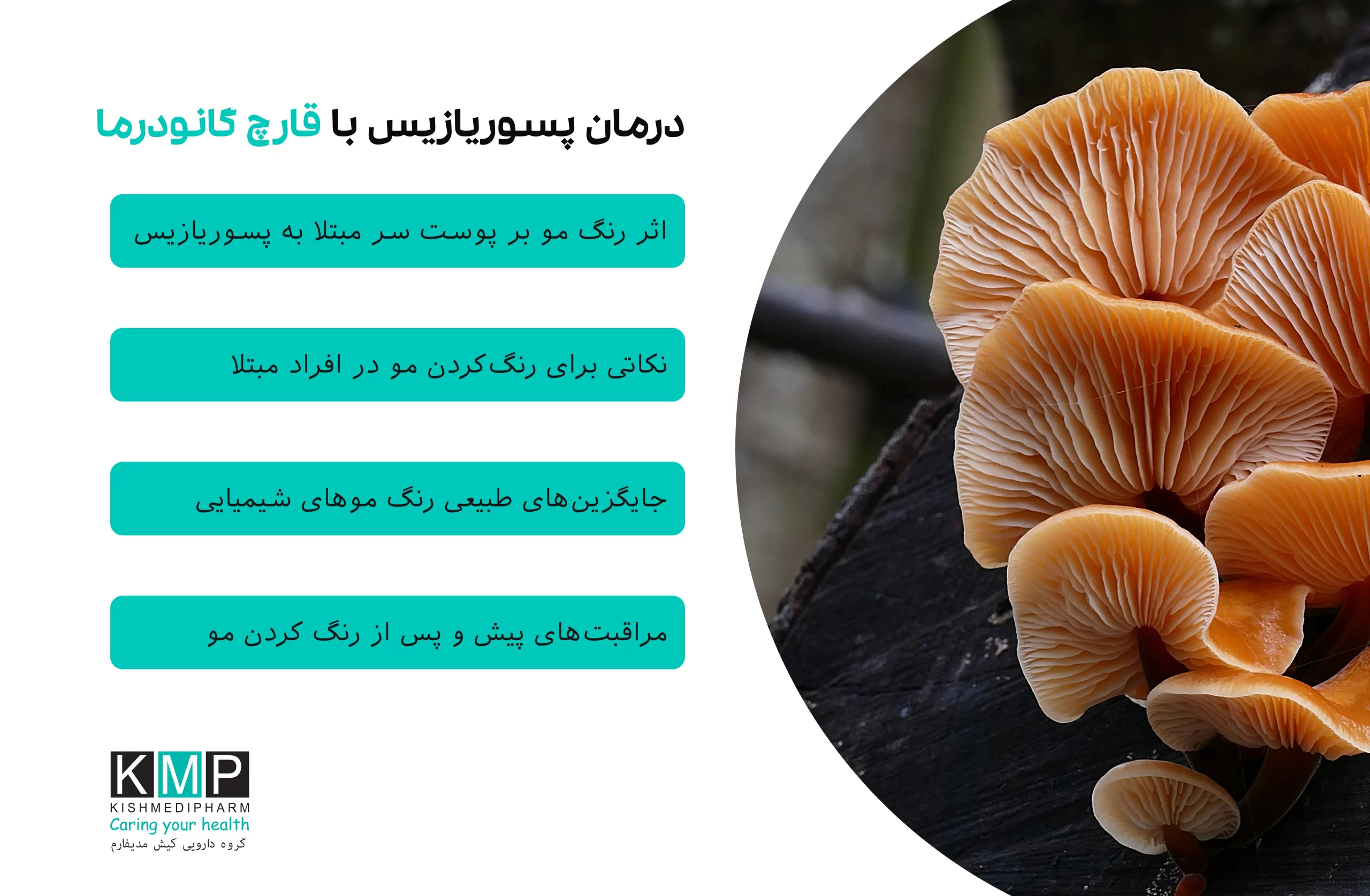 مقاله‌ای جامع درباره نقش قارچ گانودرما در کنترل و درمان مکمل پسوریازیس، بررسی اثرات ضدالتهابی، ایمنی‌تعدیلی و آنتی‌اکسیدانی آن و پاسخ به پرسش‌های متداول بیماران.